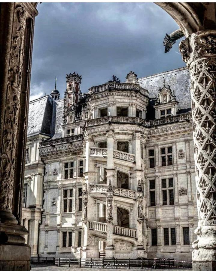 Appartement Porte Chartraine Blois Eksteriør bilde